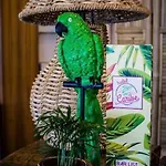 Hotel Caribe By Double Hospitality 3*