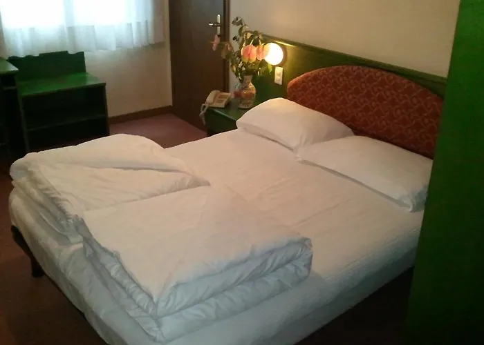 Caribe By Double Hospitality 호텔 3*