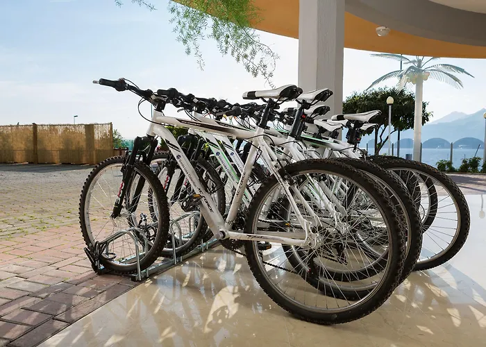 호텔 Caribe By Double Hospitality 3*